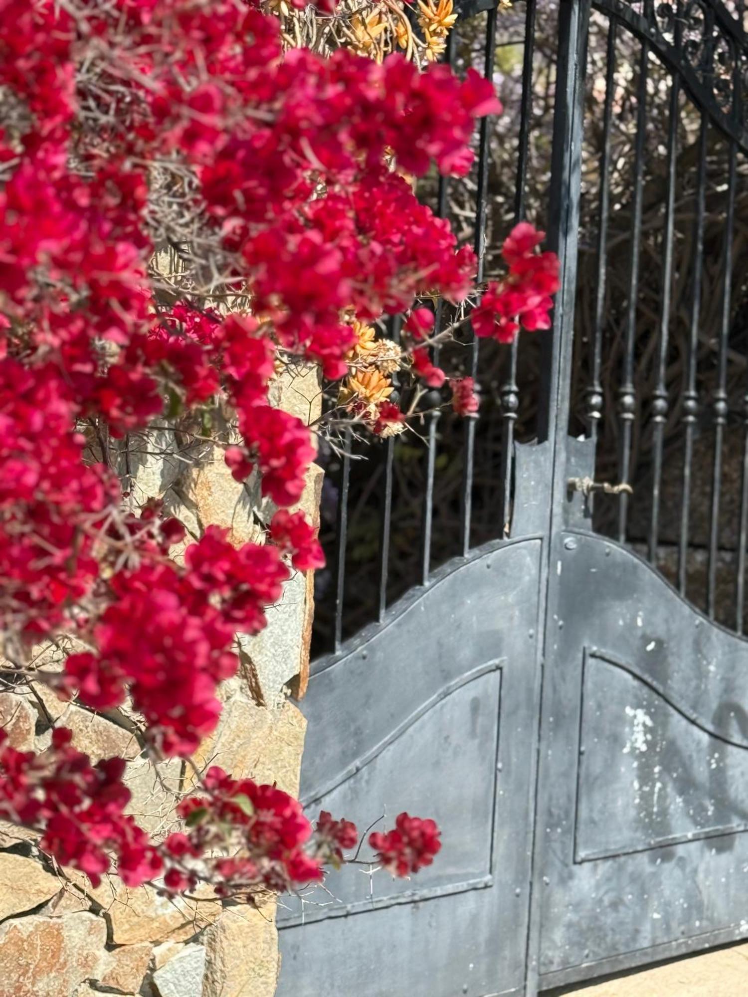 Lovely Home 5 Min Walk To The Beach, 3 Bedrooms Ample Outdoor Relax And Wifi Capitana Bagian luar foto